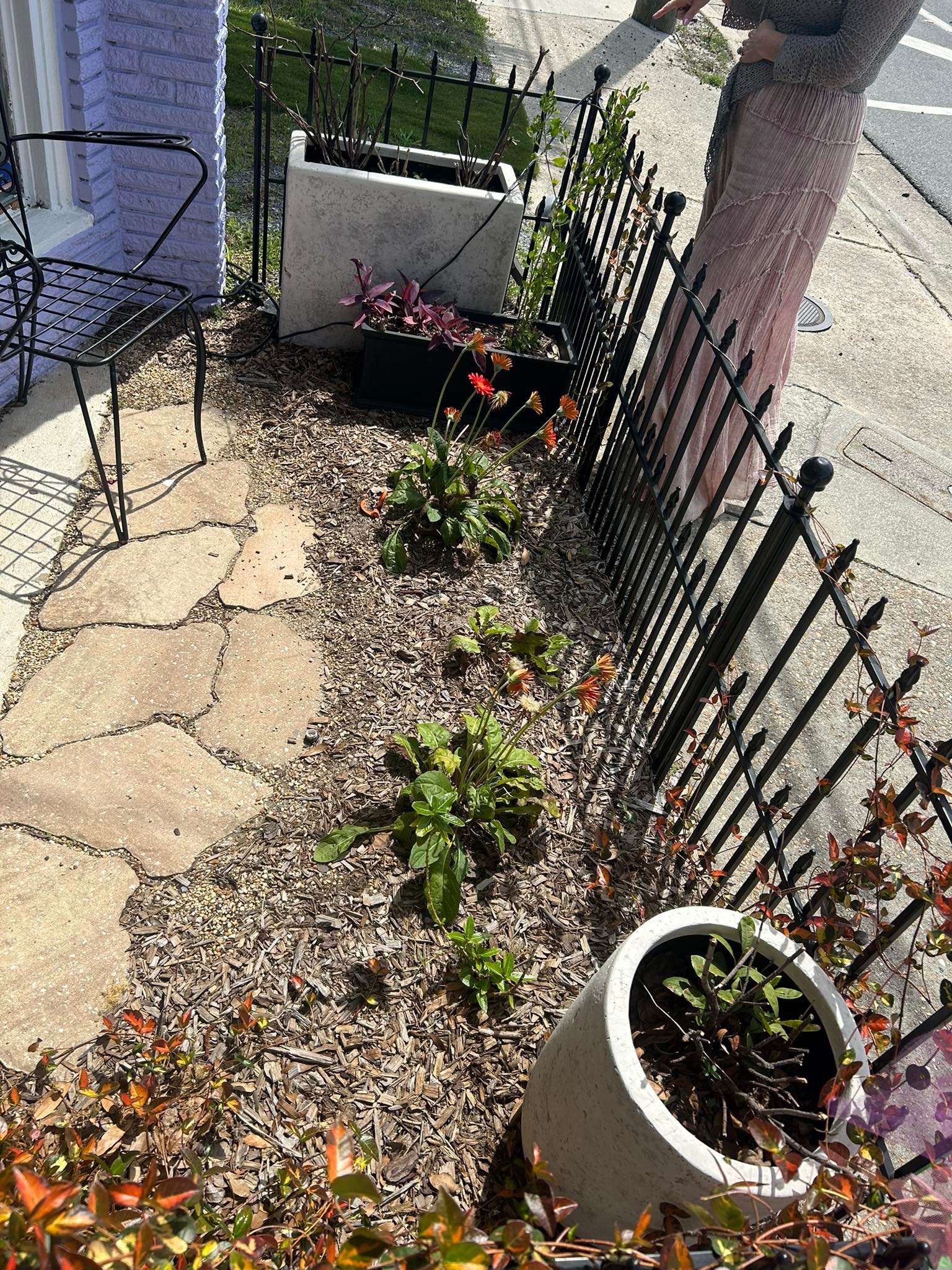 Garden staging — before, Geni Concierge